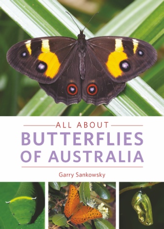 All About Australian Butterflies